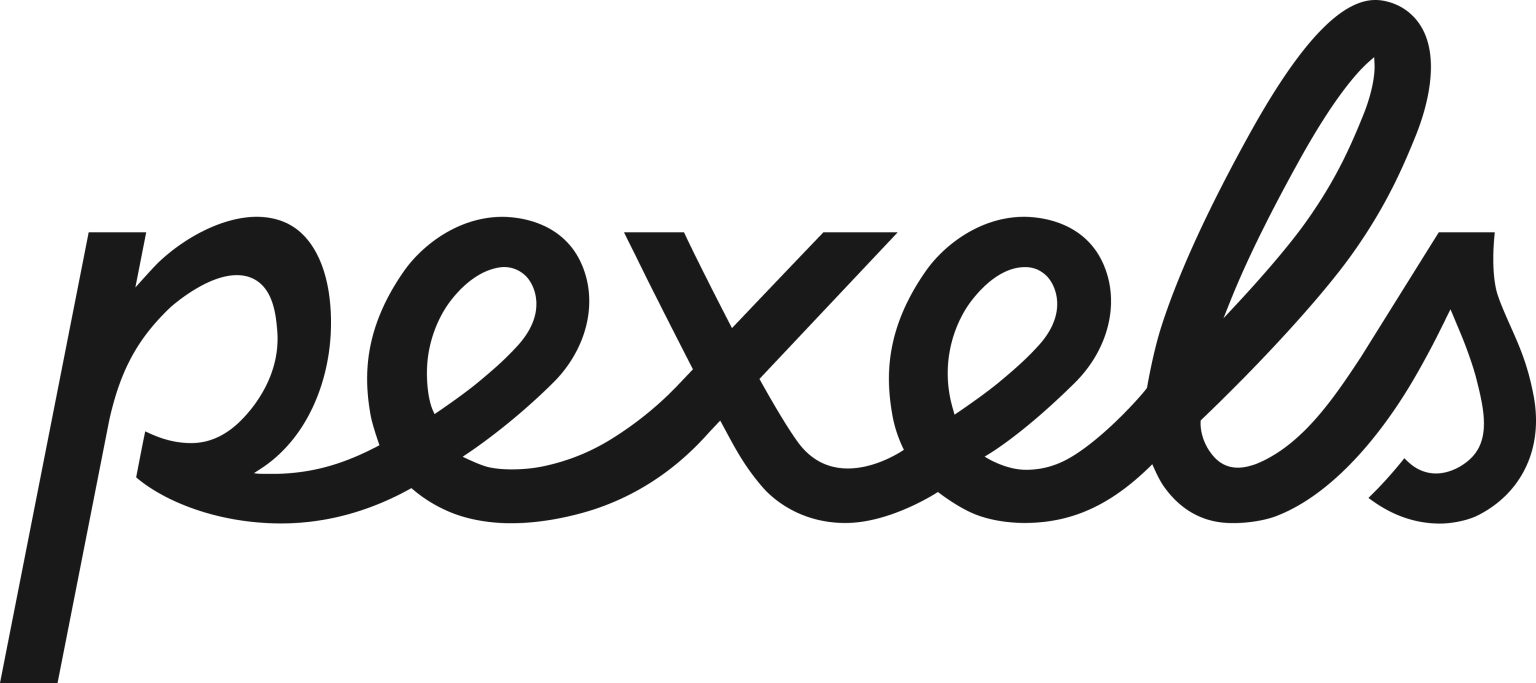 Black Logo on Transparent
